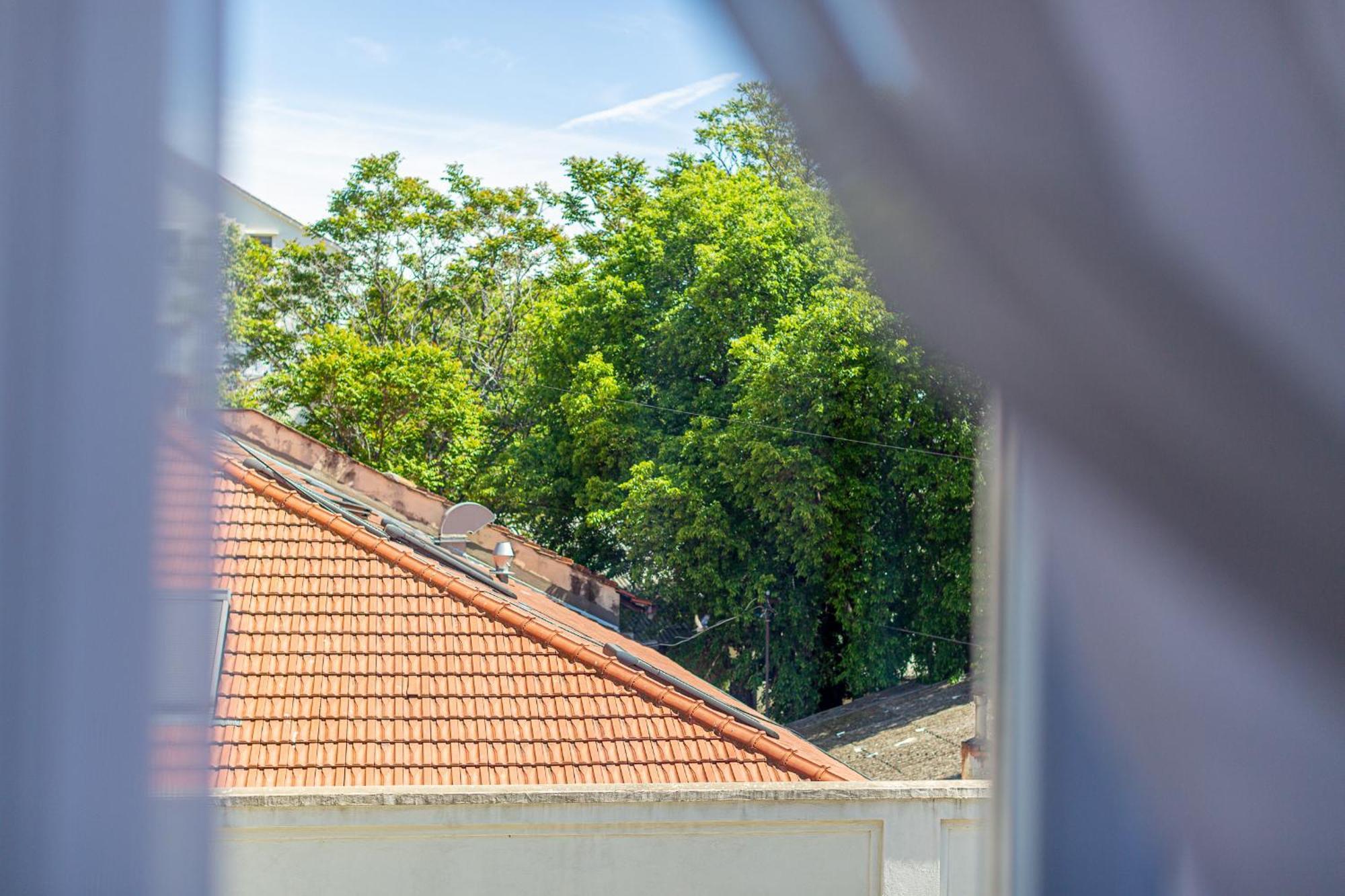 Satureja Montana Apartmán Split
